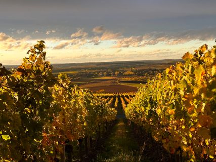 Foto van Norbert Herbig langs de tour