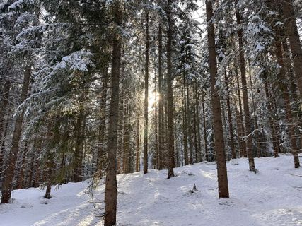 Photo de Norbert Herbig le long du parcours