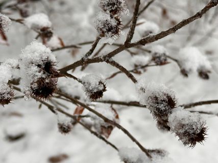 Foto von Norbert Herbig entlang der Tour