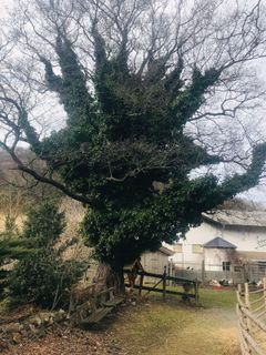 Fotografie z Kellner Heidi na trase