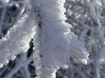 Foto von Norbert Herbig entlang der Tour