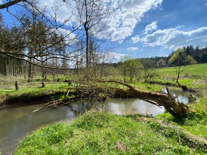 Fotografija s spletne strani rollofritz na poti