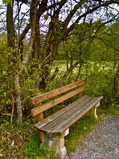 Fotografie z Kellner Heidi na trase