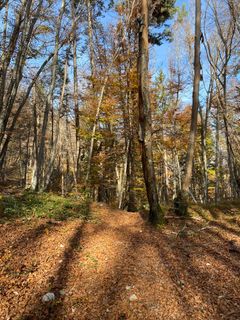 Foto von Fabio Infanti entlang der Tour