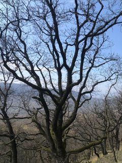 Zdjęcie z Gergő Pavlik wzdłuż trasy