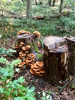 Fotografia z Kellner Heidi na trase