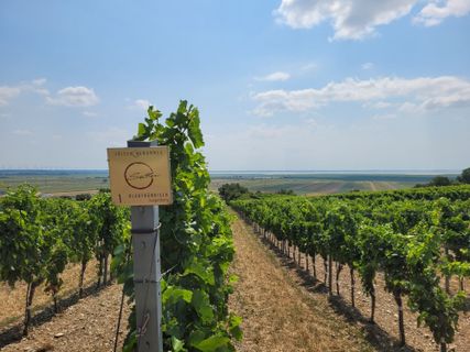 Foto von mmecki entlang der Tour
