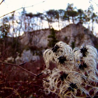 Kuva osoitteesta Kellner Heidi matkan varrella