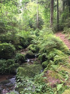 Fotografija s spletne strani Ralf Umminger na poti