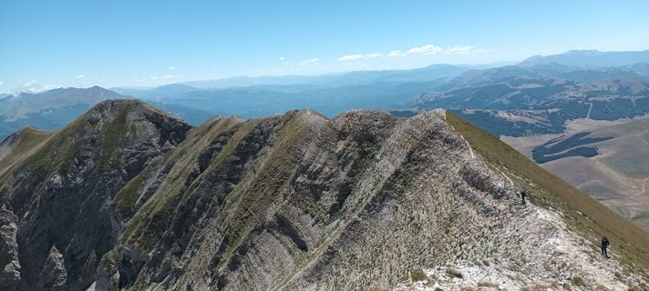 Fotografija s spletne strani Gabriele Cucchi na poti