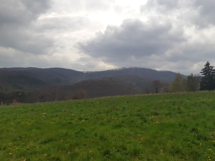 Foto von mmecki entlang der Tour