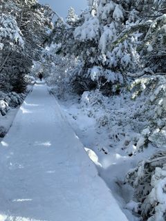 Foto de Dragana Martinovic a lo largo del recorrido