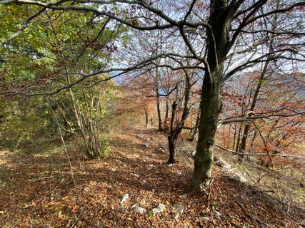 Fotografia z Fabio Infanti na trase