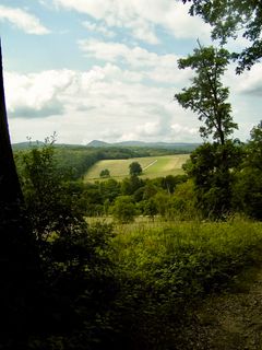 Foto de Kellner Heidi a lo largo del recorrido