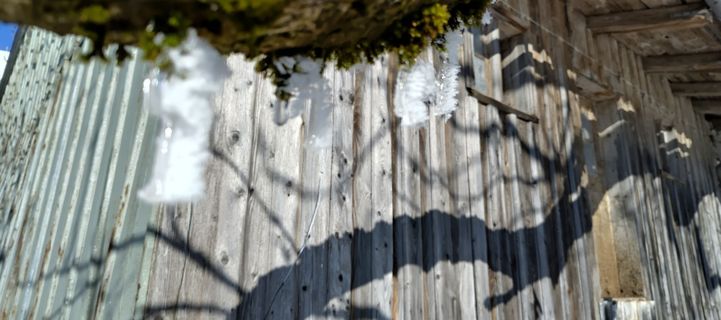 Fotografija s spletne strani Harald na poti