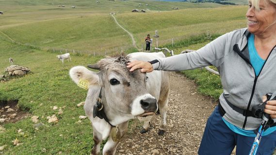 Fotografija s spletne strani Bernd Schmitt na poti