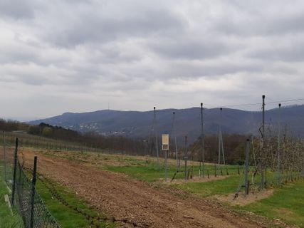 Foto von mmecki entlang der Tour