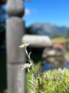 Foto von Susanne Ettl entlang der Tour