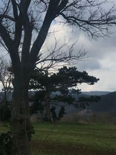 Foto von Kellner Heidi entlang der Tour