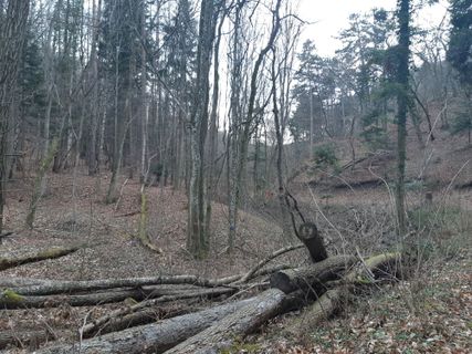 Foto von mmecki entlang der Tour