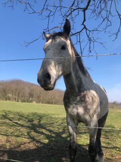 Zdjęcie z Gergő Pavlik wzdłuż trasy