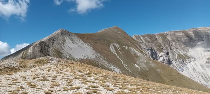 Fotografija s spletne strani Gabriele Cucchi na poti