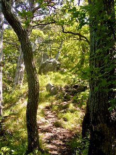 Fotografie z Kellner Heidi na trase