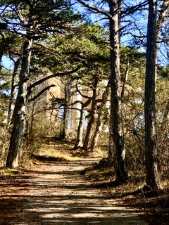 Fotografie z Kellner Heidi na trase