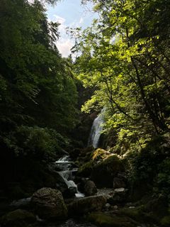 Fotografie z Toni Lerda na trase