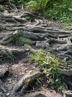Foto von Susanne Ettl entlang der Tour