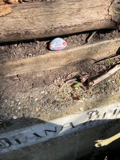 Foto de GabiLo a lo largo del recorrido