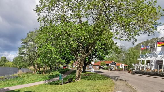 Foto de Bernd Schmitt a lo largo del recorrido