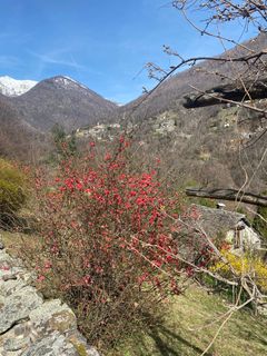 Foto von Cinzia entlang der Tour