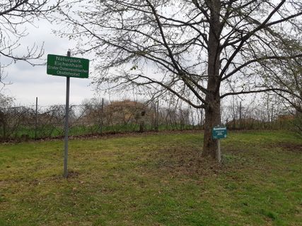 Foto von mmecki entlang der Tour