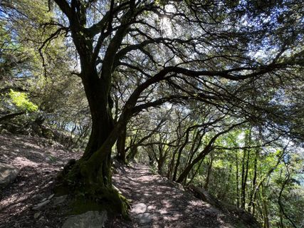 Foto von Linda Streparola entlang der Tour