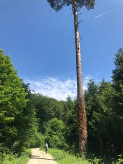 Foto von Kellner Heidi entlang der Tour