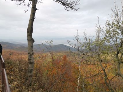 Zdjęcie z Ferenc Kiss wzdłuż trasy