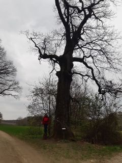 Foto von mmecki entlang der Tour