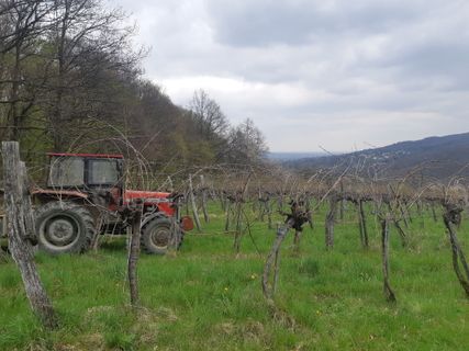 Foto von mmecki entlang der Tour