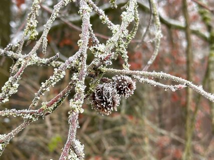 Foto von Norbert Herbig entlang der Tour