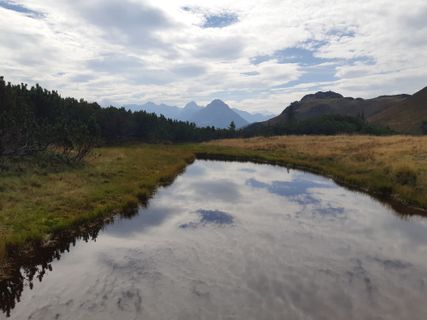 Photo de mmecki le long du parcours
