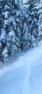 Foto von Anna entlang der Tour