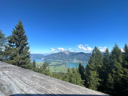 Foto von Susanne Ettl entlang der Tour