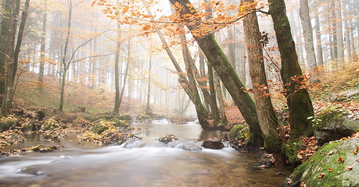 BERGFEXSehenswürdigkeiten Helenental Mondsee am Mondsee