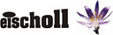 Eischoll