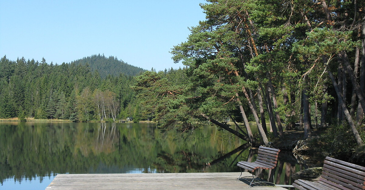BERGFEXBadesee Edlesberger Teich Stausee See Baden Schwimmen