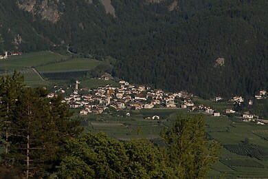 Tarsch