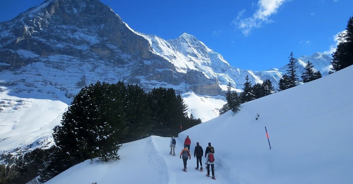 WEN-WIW - Klein... - BERGFEX - Winterwandern - Tour Berner Oberland