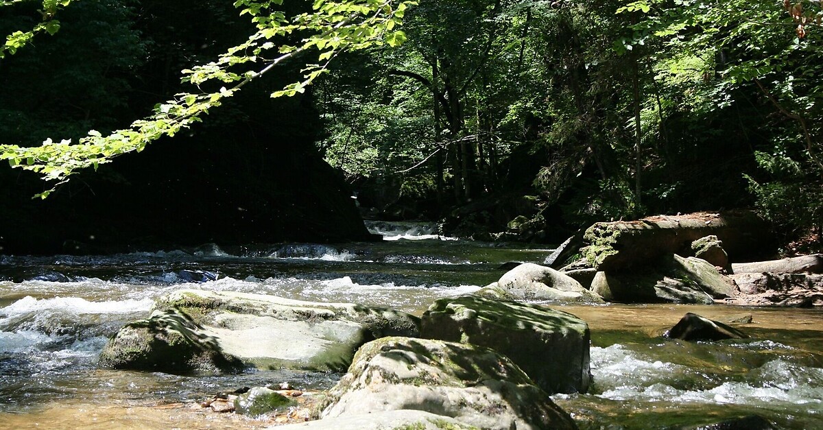 Mariazeller Weg 2. Tagesetappe - BERGFEX - Pilgerweg - Tour Steiermark