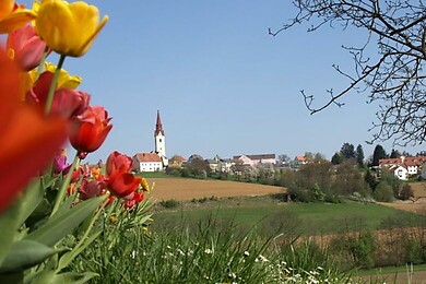 Hengsberg